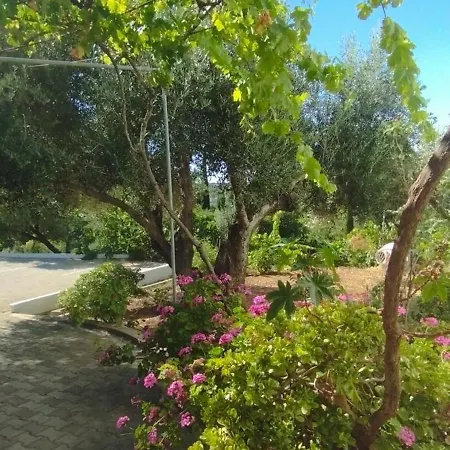 Apartment Alexander 3